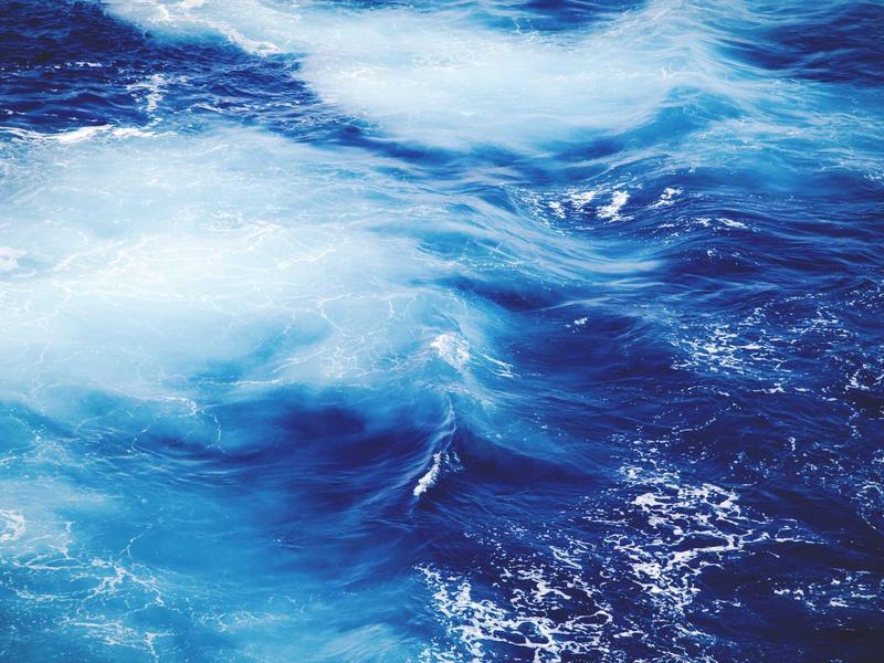 sudoku versus mode screenshot 2